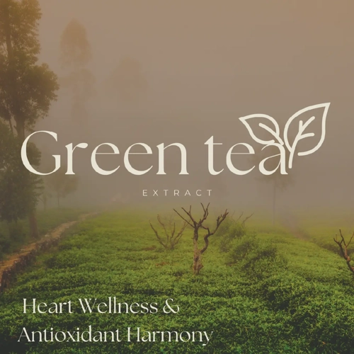 Green tea Extract