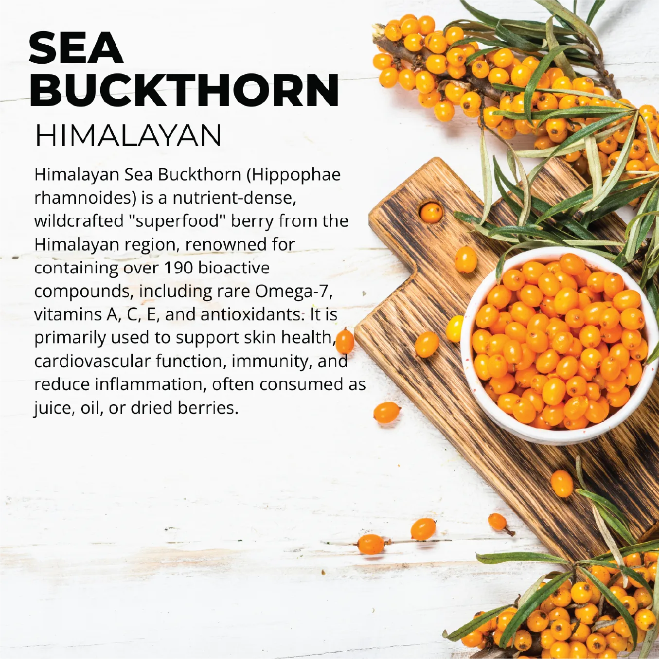 Sea Buckthorn