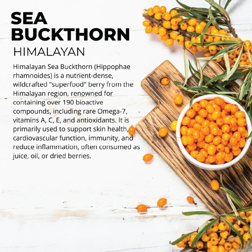 Sea Buckthorn